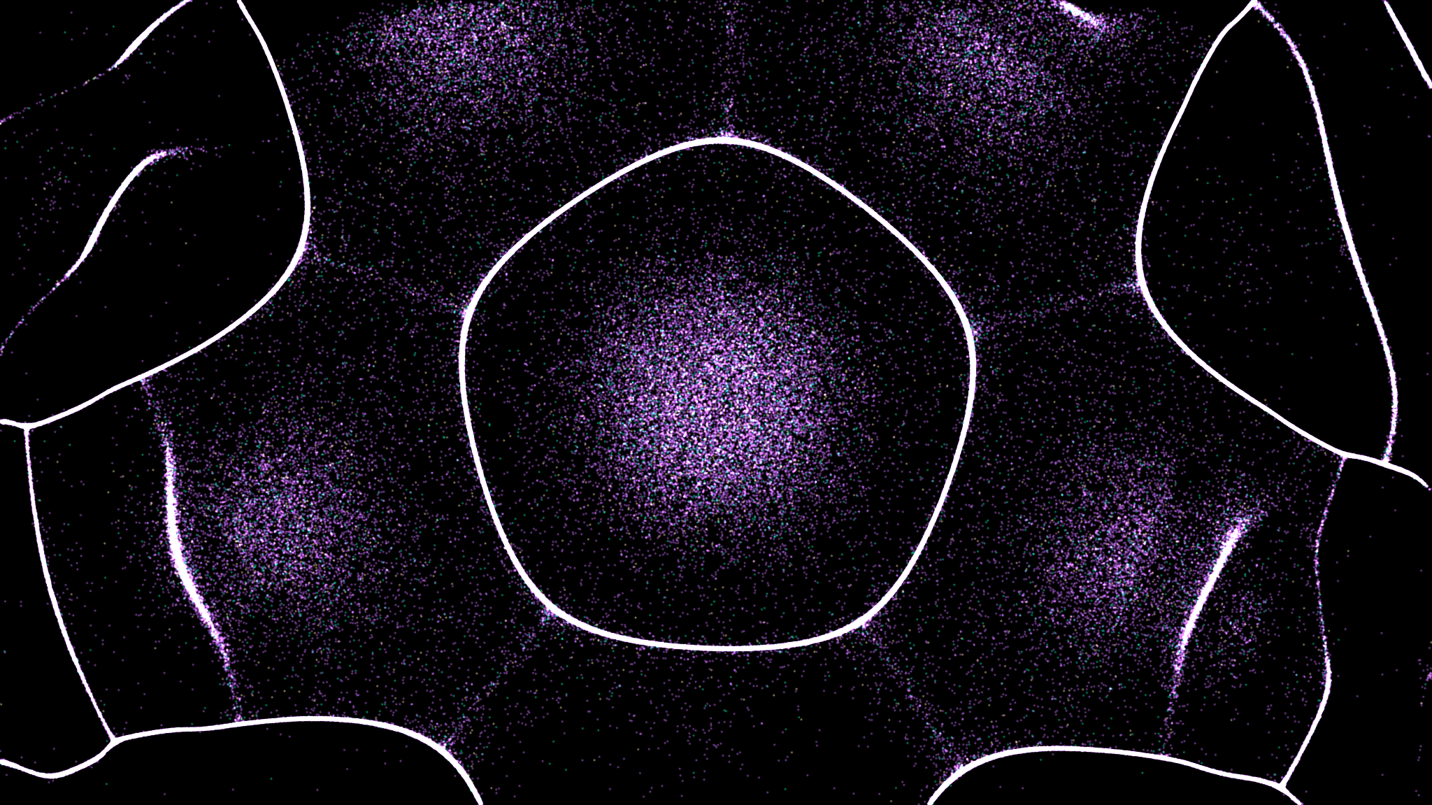 1inch: The Unstoppable Journey from Hackathon Dream to Decentralized Exchange Powerhouse